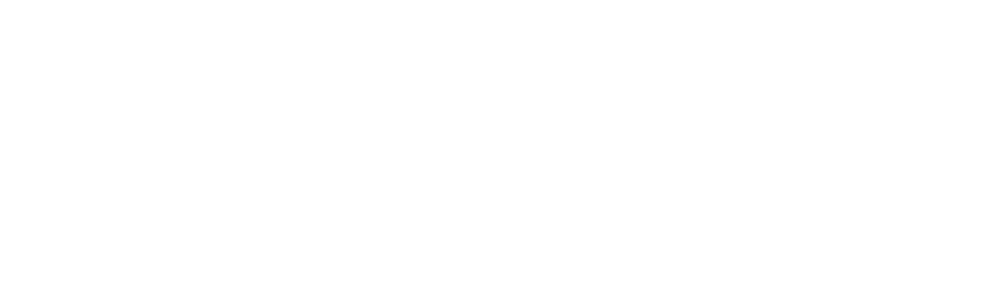 fachini